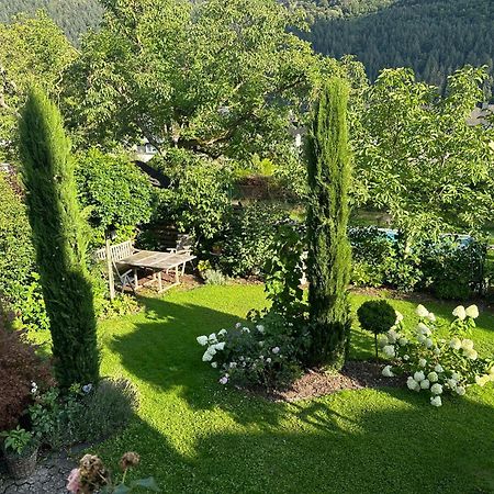 York Cottage Garden Трабен-Трарбах Екстериор снимка