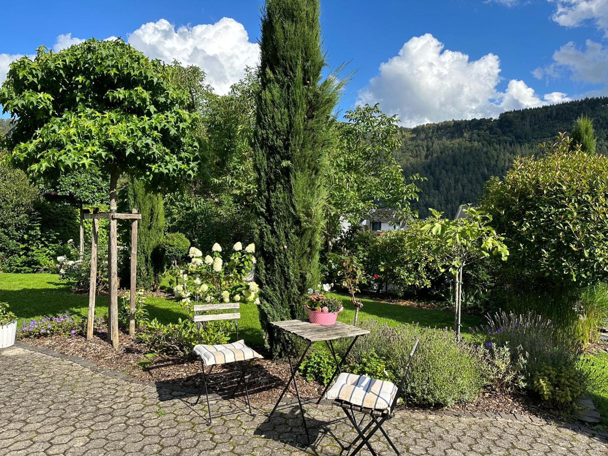 York Cottage Garden Трабен-Трарбах Екстериор снимка